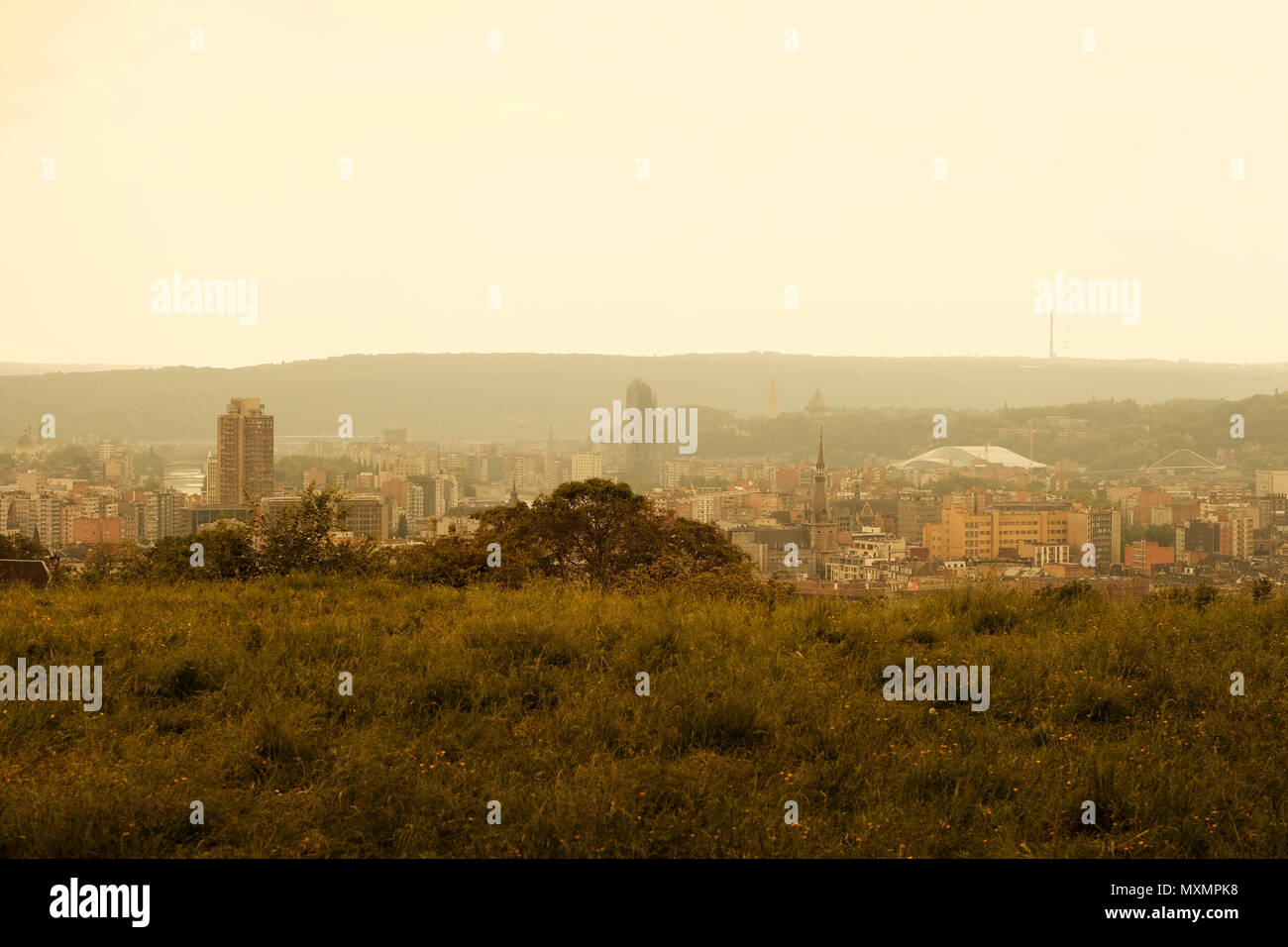 La città di Liegi, Belgio, visto dalla collina sopra la città Foto Stock