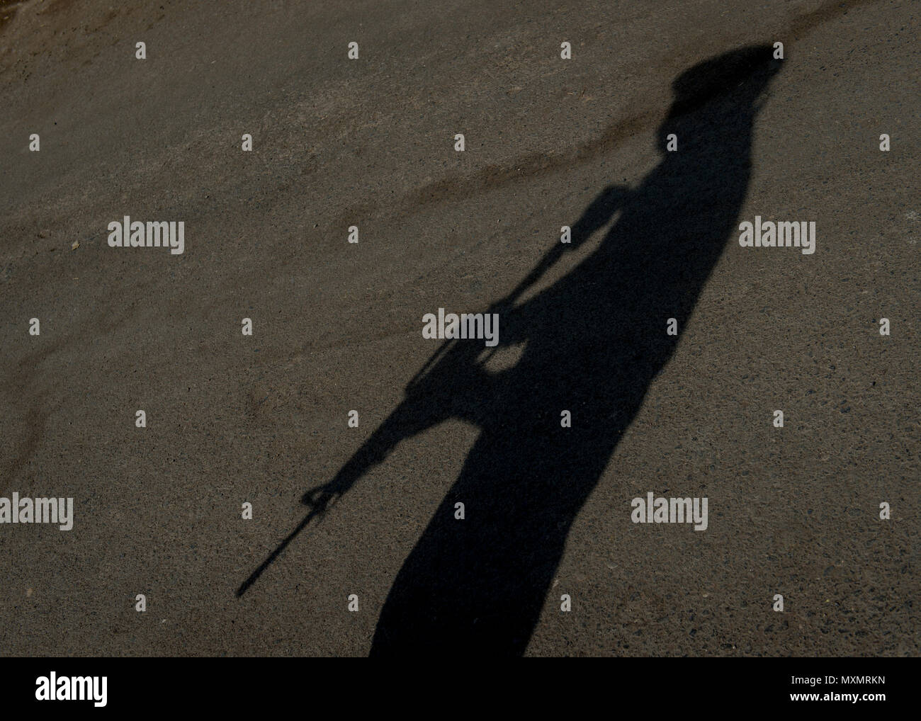 I membri delle forze di polizia somale, treno con i Carabinieri a Gibuti Accademia di polizia a Gibuti, Gibuti, nov. 10, 2016. I carabinieri è in carica della missione di addestramento MAIDIT Somalia 6, che è la missione di formare le forze di polizia somale al fine di promuovere la stabilità e la sicurezza di tutta la regione del Corno d Africa. (U.S. Air Force photo by Staff Sgt. Kenneth W. Norman) Foto Stock