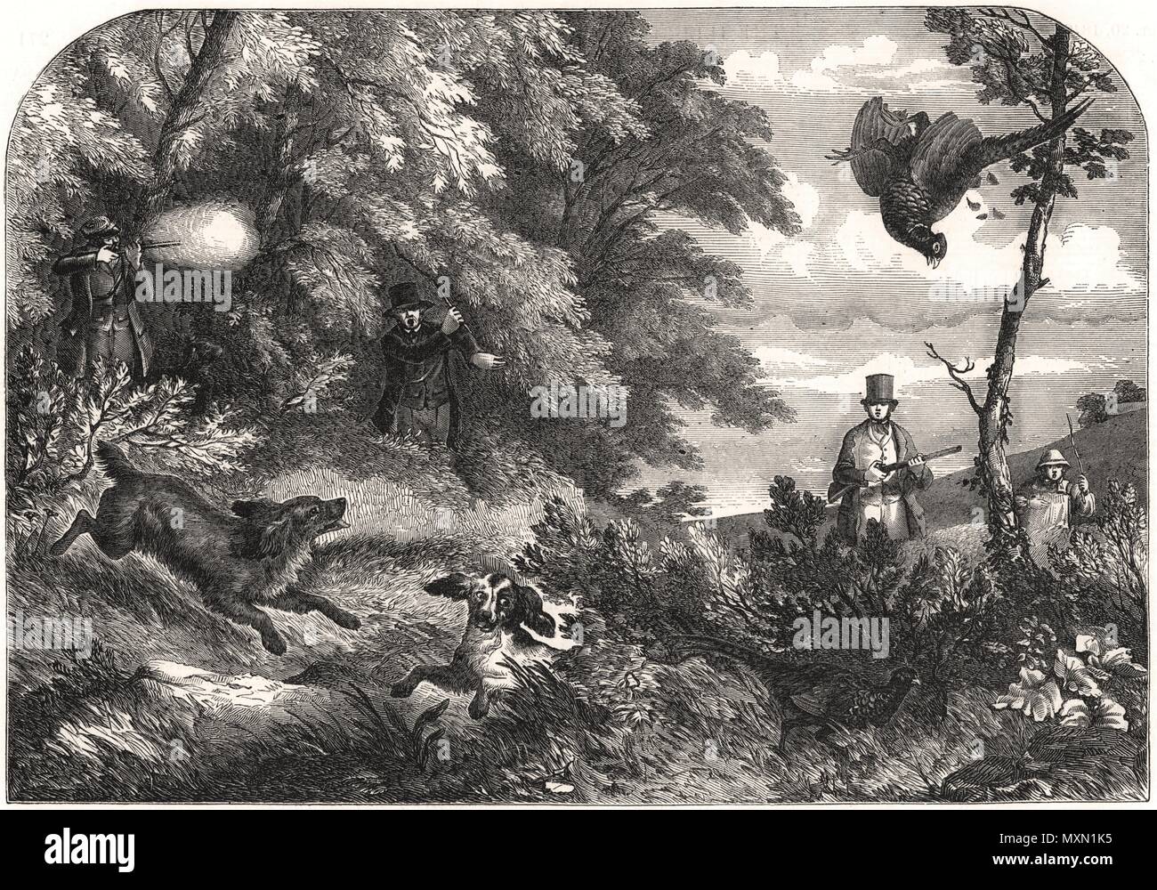 Caccia ai faggiani 1849. Il Illustrated London News Foto Stock