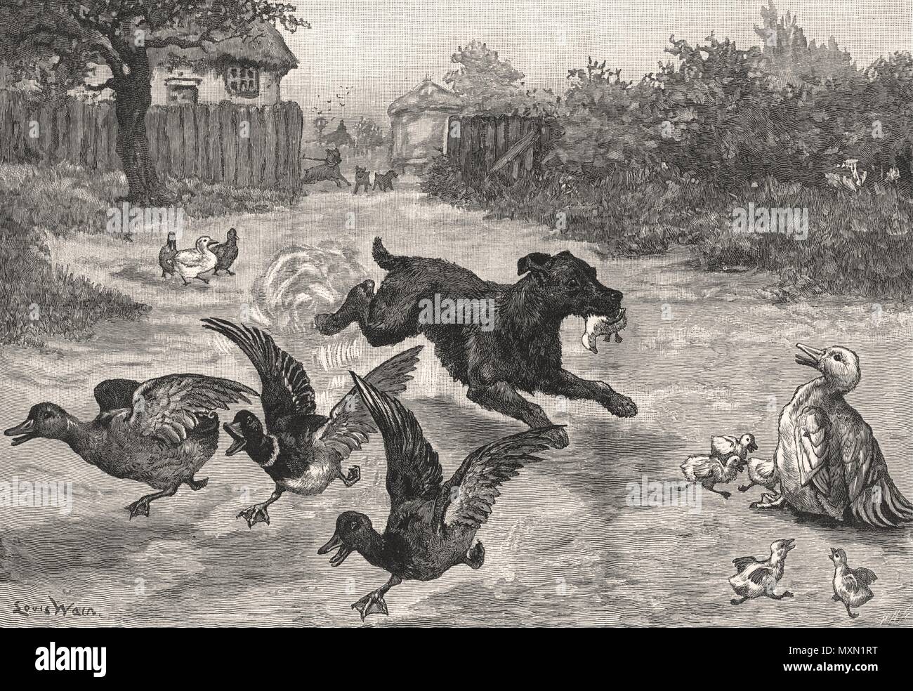 Un triste cane al giorno malvagio sport. Cani 1887. Il Illustrated London News Foto Stock