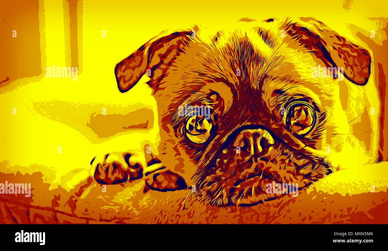 Illustrazione di un pug cucciolo posa sul letto e guardando la telecamera Foto Stock