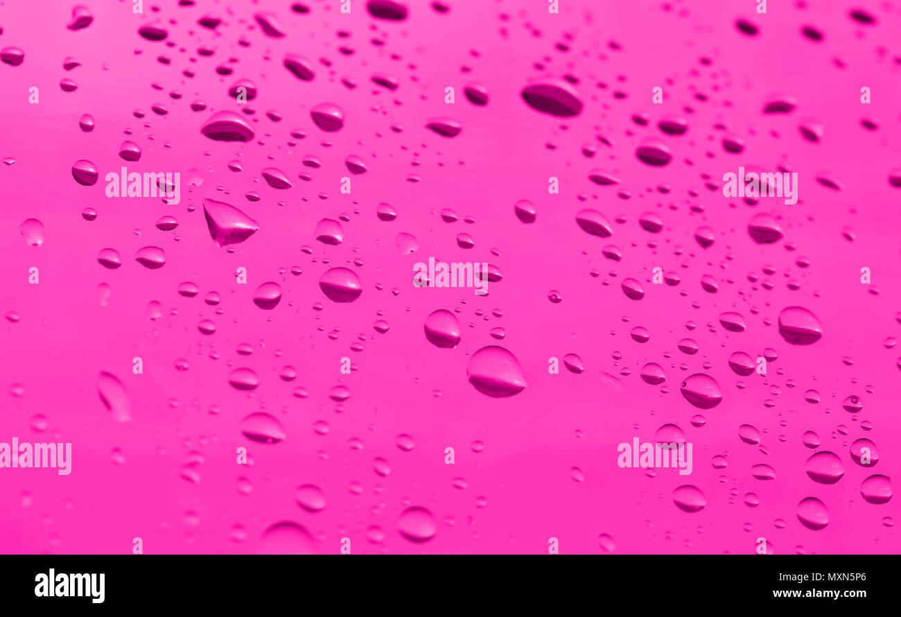Gocce di acqua su un sfondo rosa Foto Stock