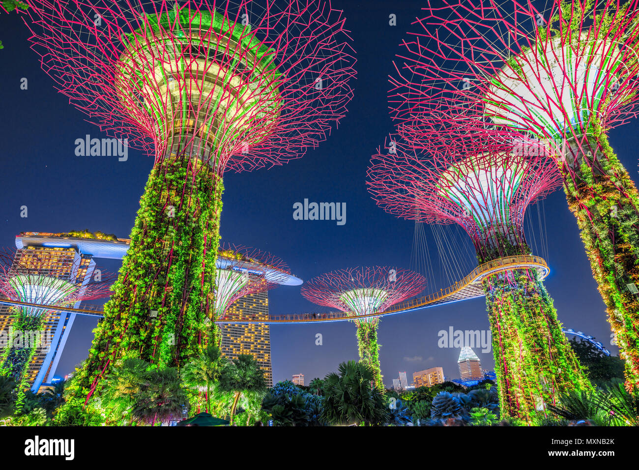 Singapore - Aprile 30, 2018: Giardino Rhapsody luce e suono mostra su Supertree Grove con OCBC Skyway presso i giardini della baia. Il Marina Bay Sands sullo sfondo. Popolare attrazione turistica. Ora blu shot. Foto Stock