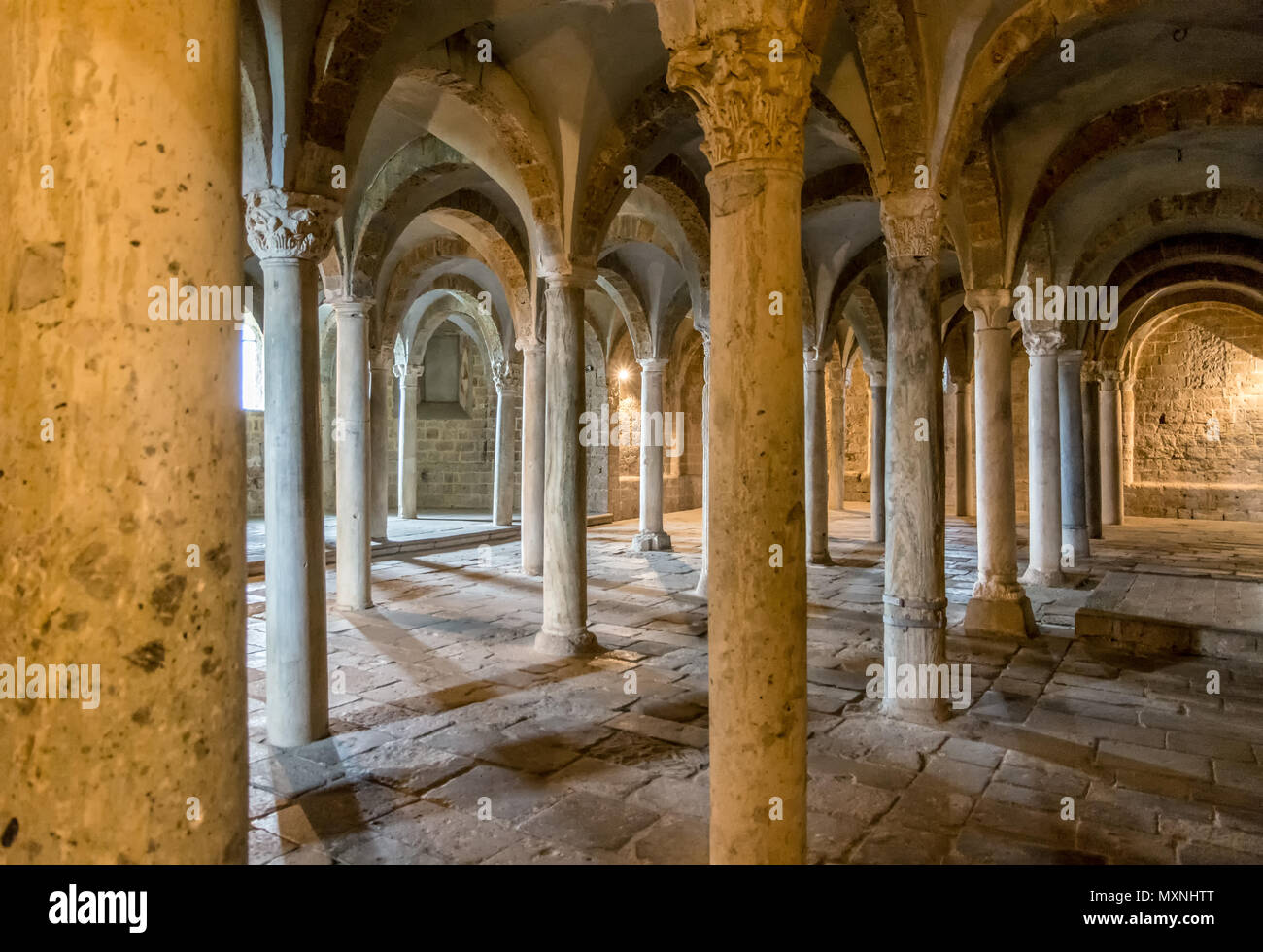 Cripta con un soffitto a volta e un sacco di colonne, Basilica di San Pietro, Tuscania, Viterbo, Lazio, l'Italia, così Foto Stock