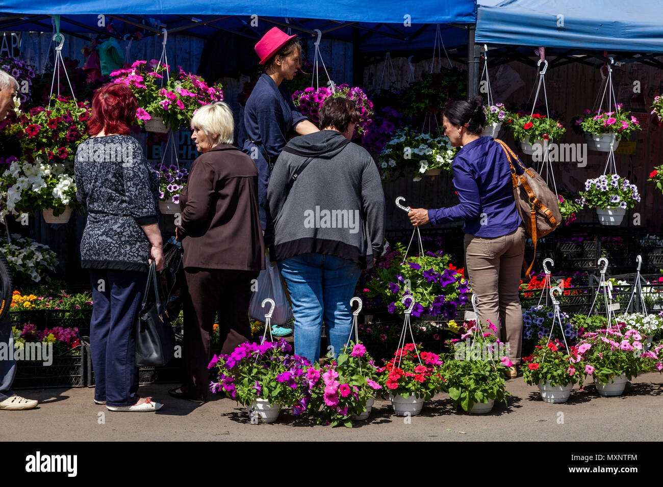 Popolo ucraino e acquisto di fiori sul mercato Privoz, Odessa, Ucraina Foto Stock