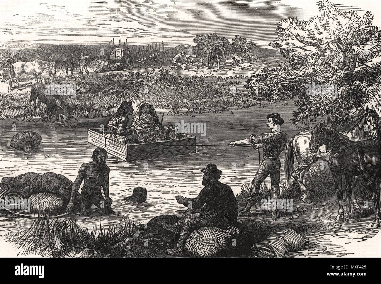 Metà-alleva attraversare un fiume in Nord America. Warwickshire 1874. Il Illustrated London News Foto Stock