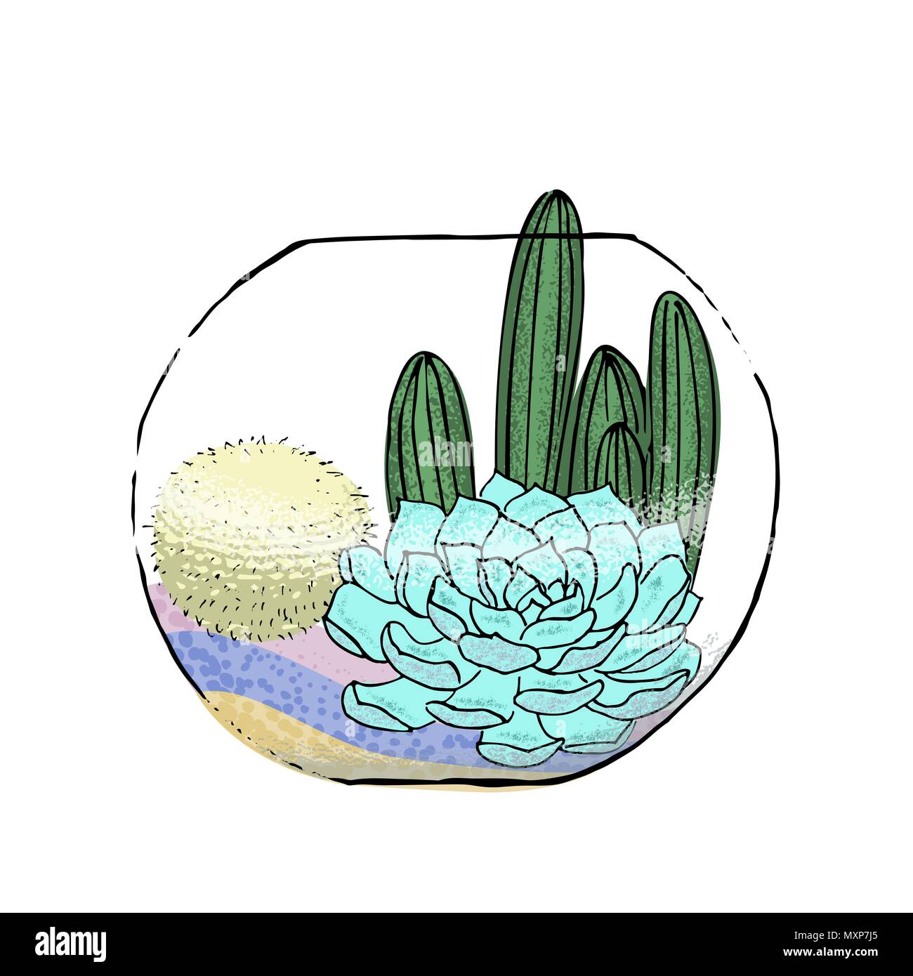 Succulenta collezione di cactus in acquario. Agave, aloe, Saguaro, gastraea, "Haworthia", echeveria, Pachyphytum, fichidindia Illustrazione Vettoriale