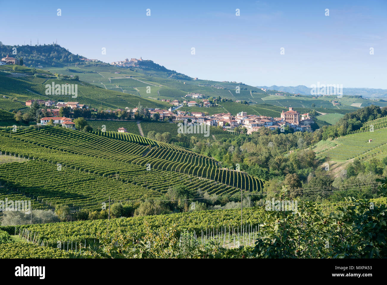 L'Italia, panorama di vigneti del Piemonte: Langhe-Roero e Monferrato nella Lista del Patrimonio Mondiale UNESCO. Panorama vicino Barolo Italia, Piemonte, Vieneya Foto Stock