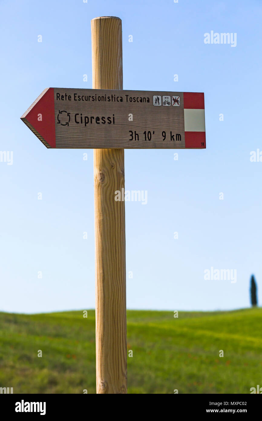 Rete Escursionistica Toscana, Toscana rete escursionistica, segnaletica rivolta ai cipressi, cipressi, cipressi vicino a San Quirico d'Orcia, Toscana, Italia Foto Stock