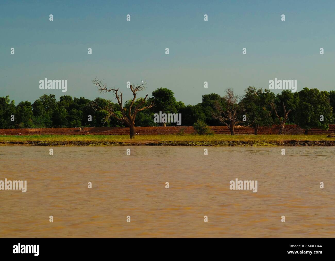 Vista del fiume Niger vicino a Niamey in Niger Foto Stock