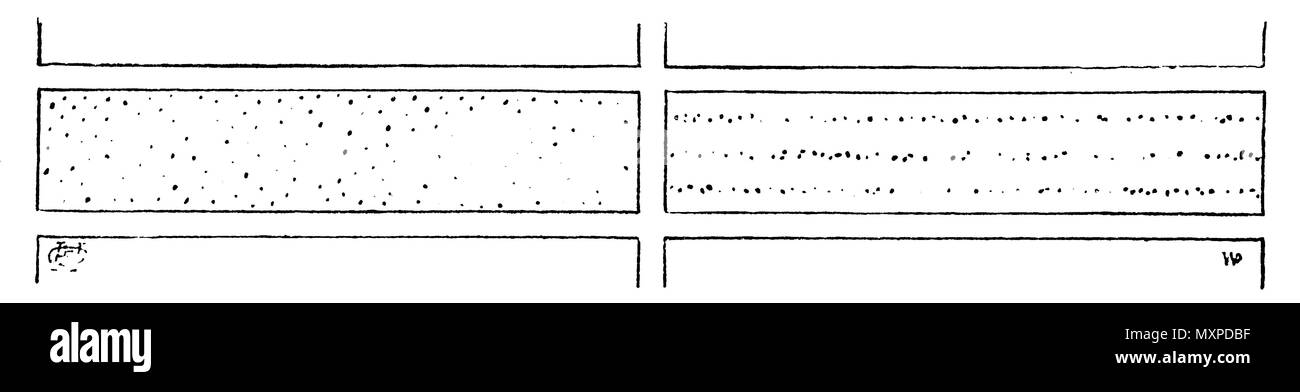 Ampia delle sementi (sinistra) e la fila o solco seme, C.F.H.;C.F.H. 1915 Foto Stock