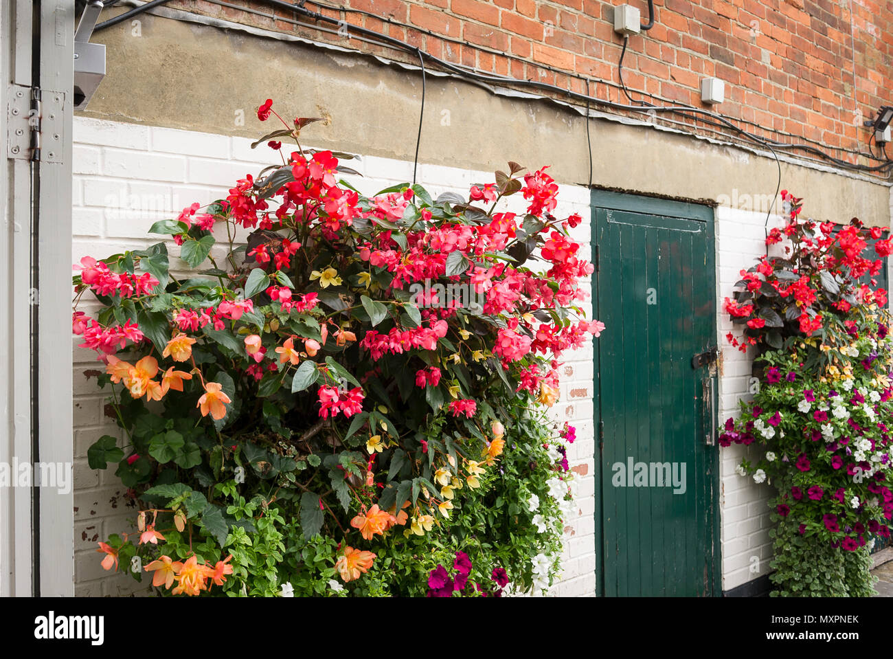 Un abbastanza banale area nella parte posteriore di un immobile commerciale animato da appendere contenitori floreali sulle pareti fiancheggianti Foto Stock