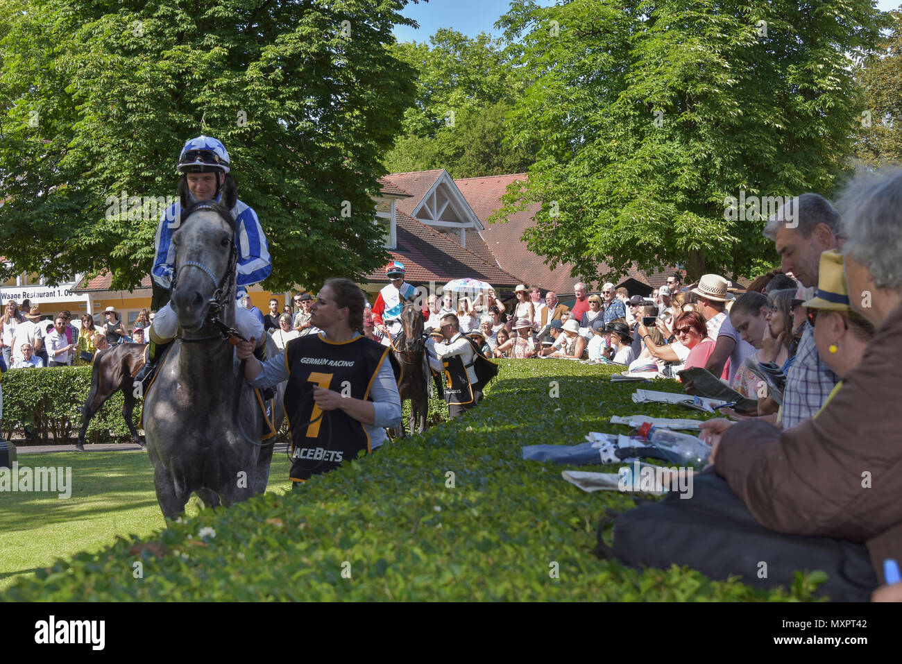 Corsa di cavalli Baden-Baden, 2 giugno, 2018, Baden Racing di Evento Spring, presentazione dei cavalli prima gara nel paddock, gara la Silberne Peitsche Foto Stock
