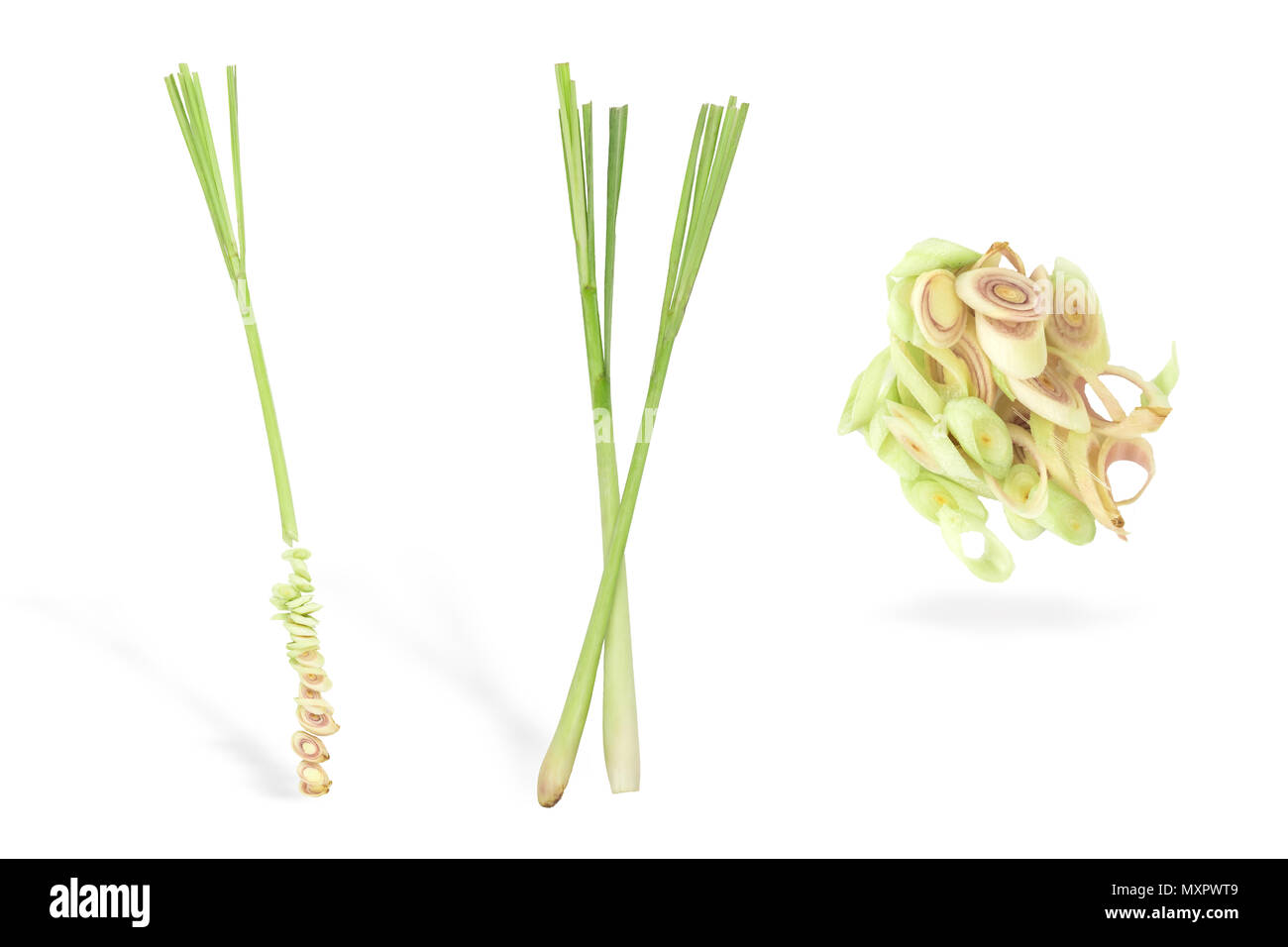 La citronella bianco sfondo isolati,closeup Foto Stock