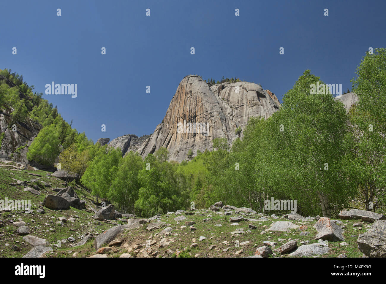 Elephant Trunk picco, Keketuohai National Park, Xinjiang, Cina Foto Stock