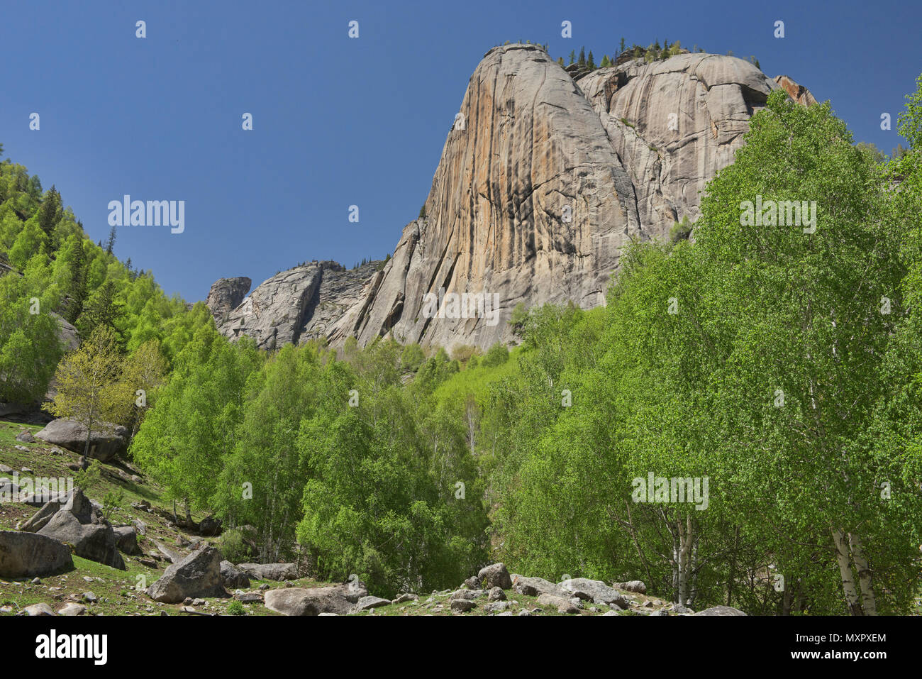 Elephant Trunk picco, Keketuohai National Park, Xinjiang, Cina Foto Stock