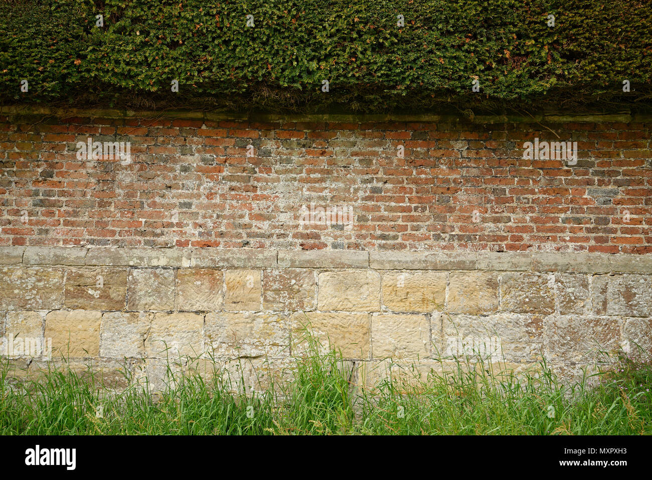 Yew siepe, muro di mattoni e una base di pietra arenaria. A tre strati il perimetro della proprietà. Utile come sfondo per il testo. Foto Stock