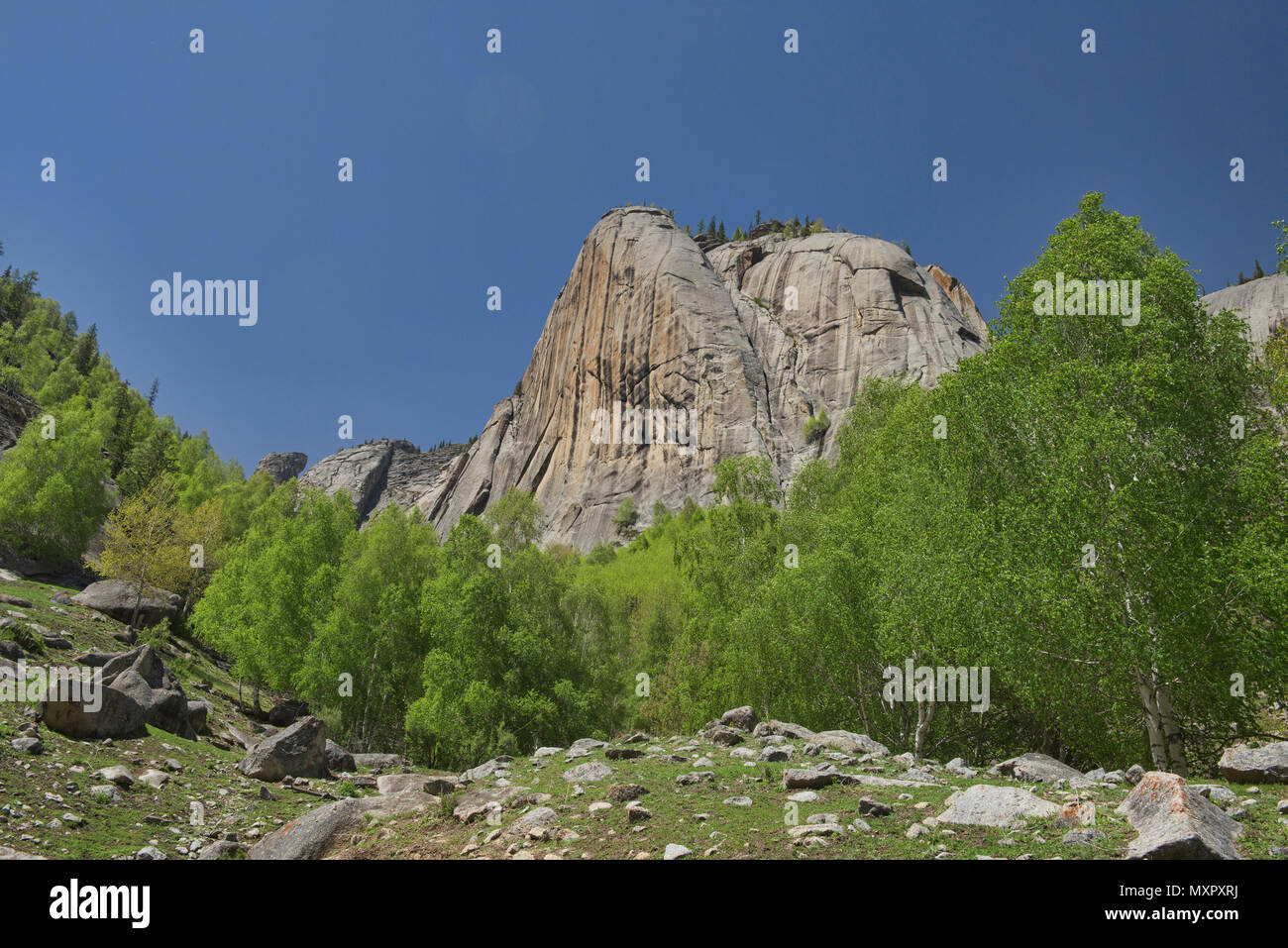 Elephant Trunk picco, Keketuohai National Park, Xinjiang, Cina Foto Stock