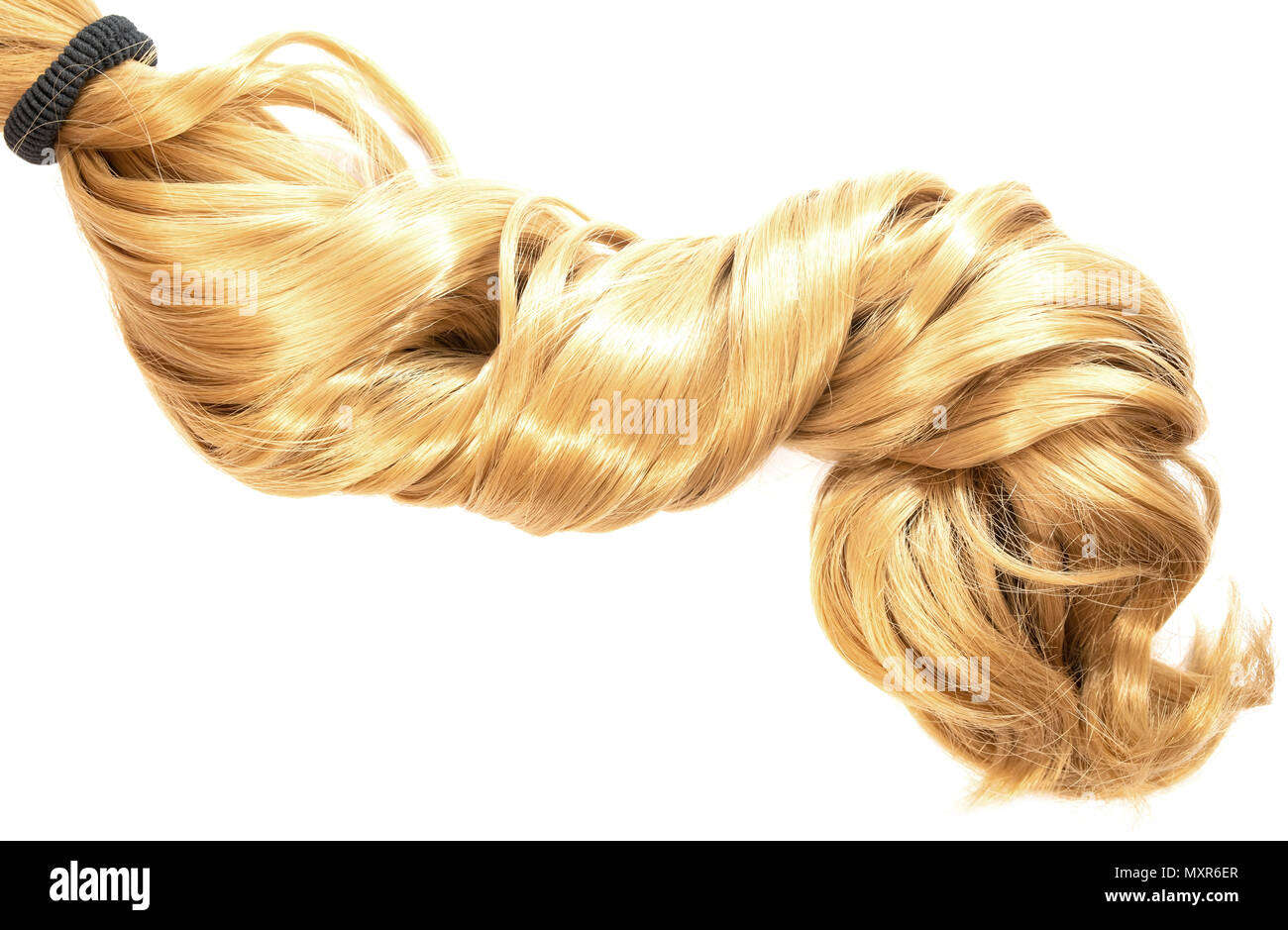 Capelli lunghi biondi coda di cavallo su sfondo bianco Foto Stock