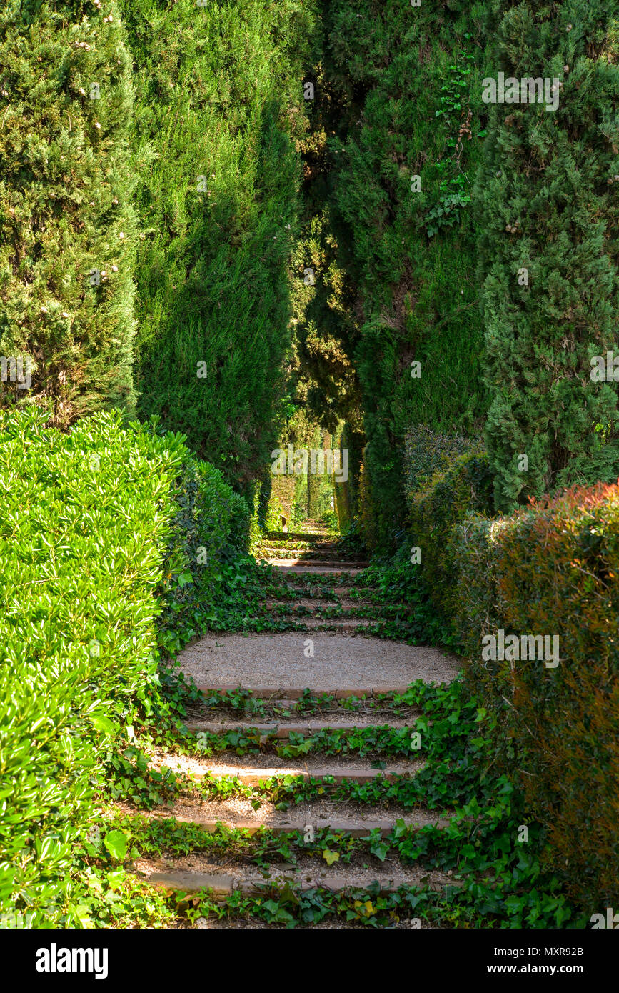 Lloret de Mar Spagna - 11 Aprile 2017: Scalone coperto di edera nella Santa Clotilde giardini di Lloret de Mar . Foto Stock