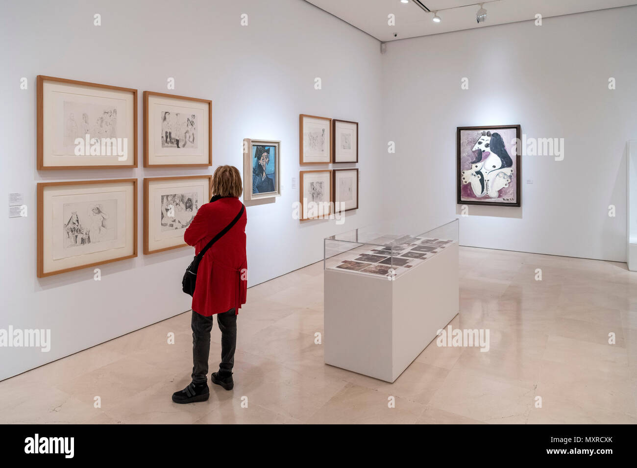 Il visitatore in una galleria al Museo di Picasso, Malaga, Costa del Sol, Andalusia, Spagna Foto Stock