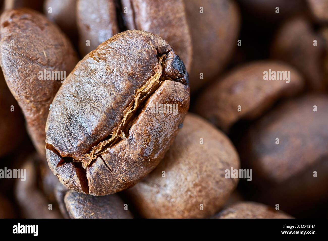 Close up foto di caffè tostato in grani, profondità di campo. Foto Stock