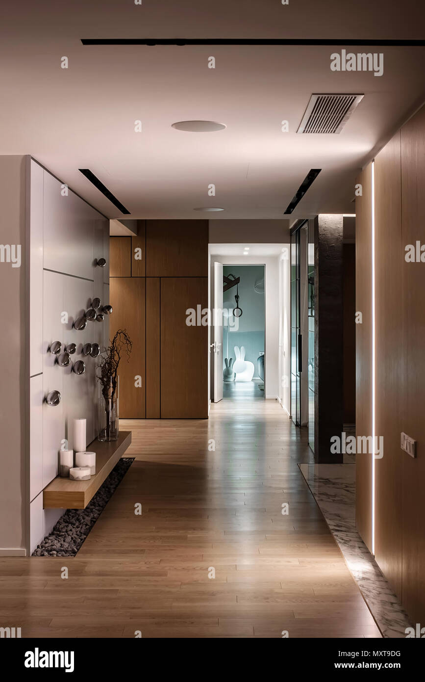 Sala contemporanea con diverse lampade luminose, pareti di colore chiaro e un parquet su un pavimento. Vi è una parete decorata con chrome uccelli, armadietti in legno, st Foto Stock