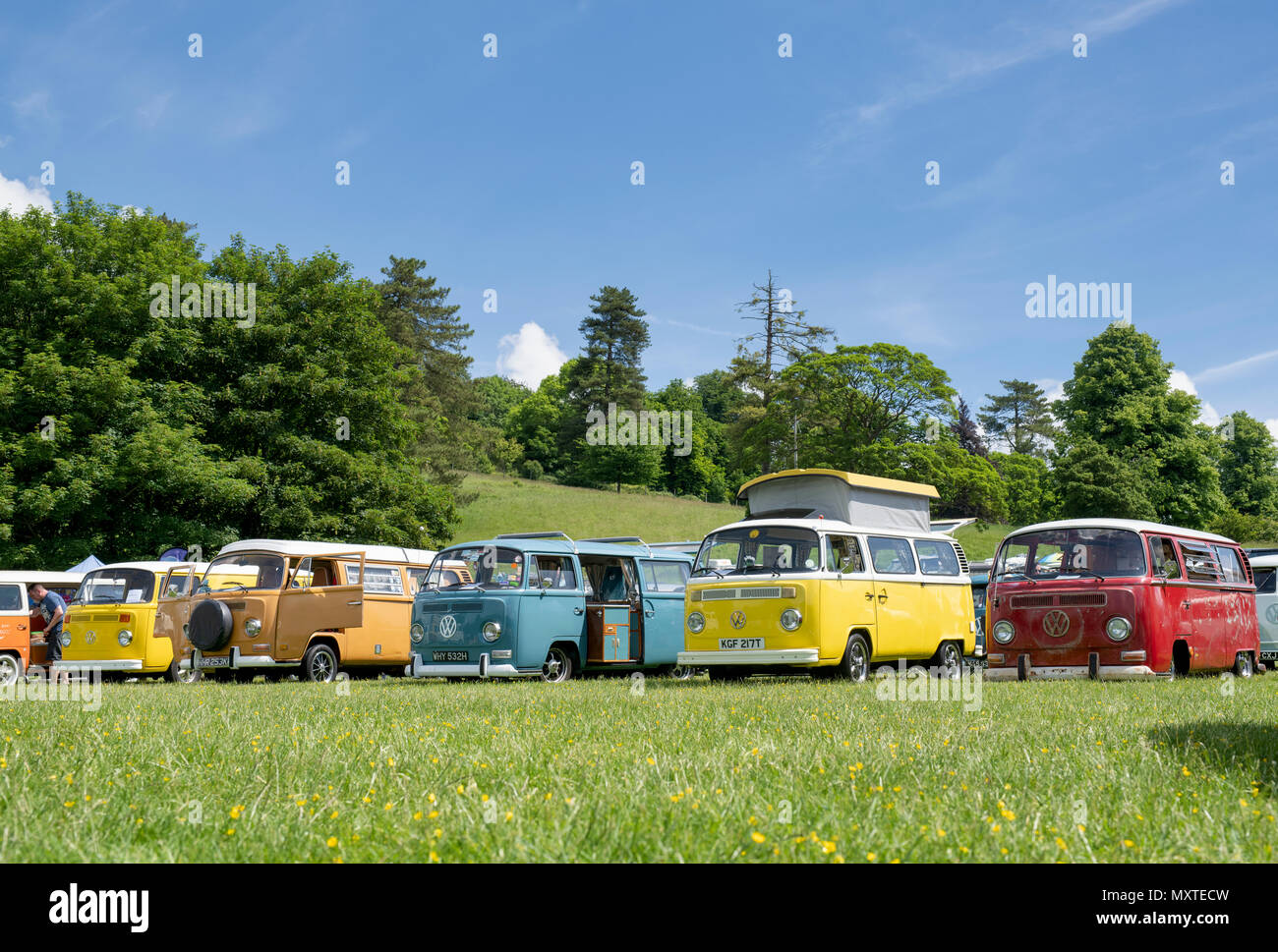 Linea di VW Volkswagen camper a VW mostra. Stoner Park, Oxfordshire, Inghilterra Foto Stock