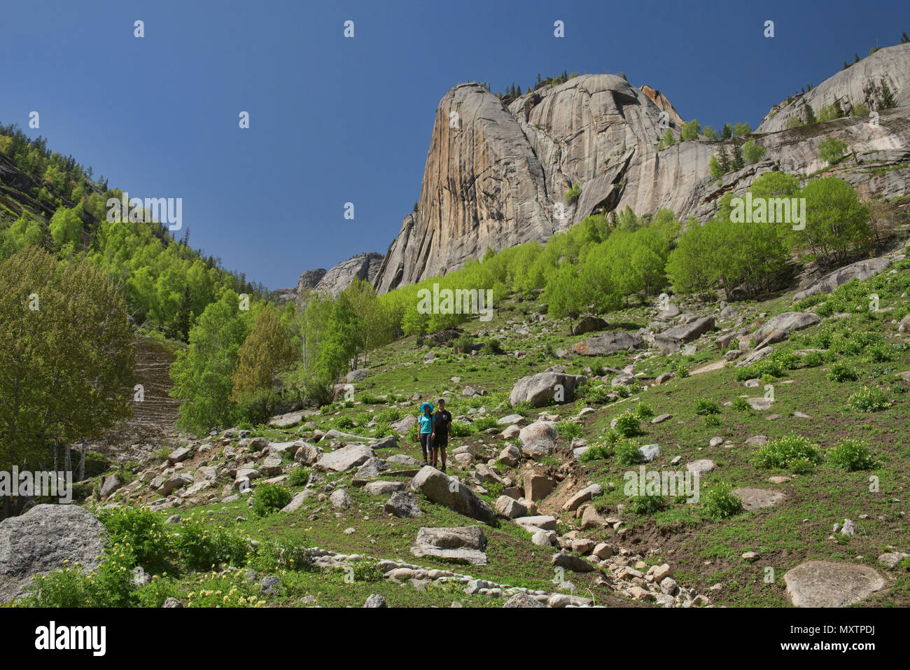 Elephant Trunk picco, Keketuohai National Park, Xinjiang, Cina Foto Stock