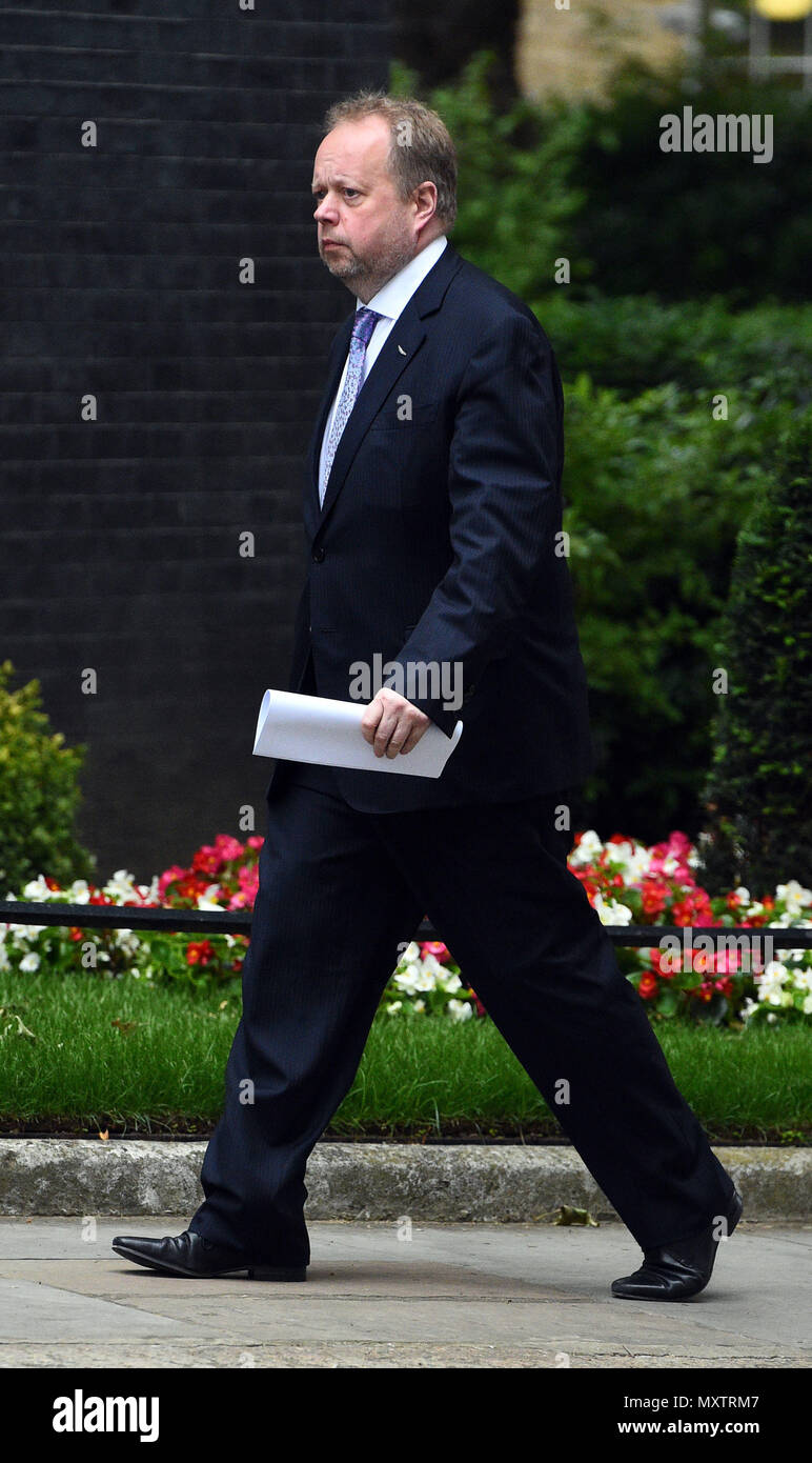 CEO di Aston Martin Andy Palmer arriva a 10 Downing Street, Londra. Foto Stock