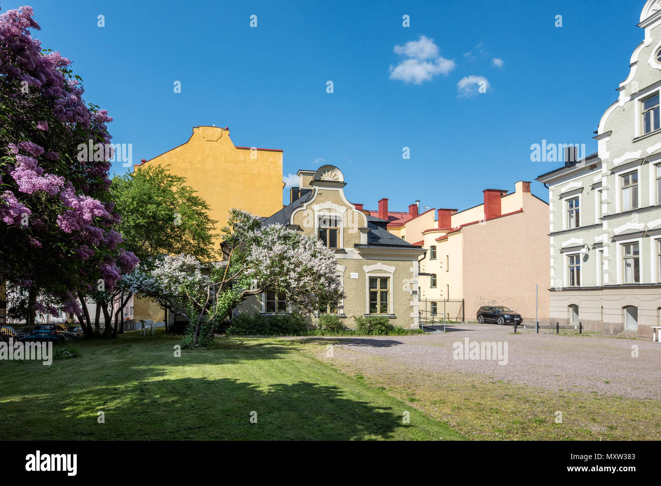 L'allegato e fiore lilla comune nel giardino della casa di Fröbel durante la tarda primavera a Norrköping, Svezia. Foto Stock