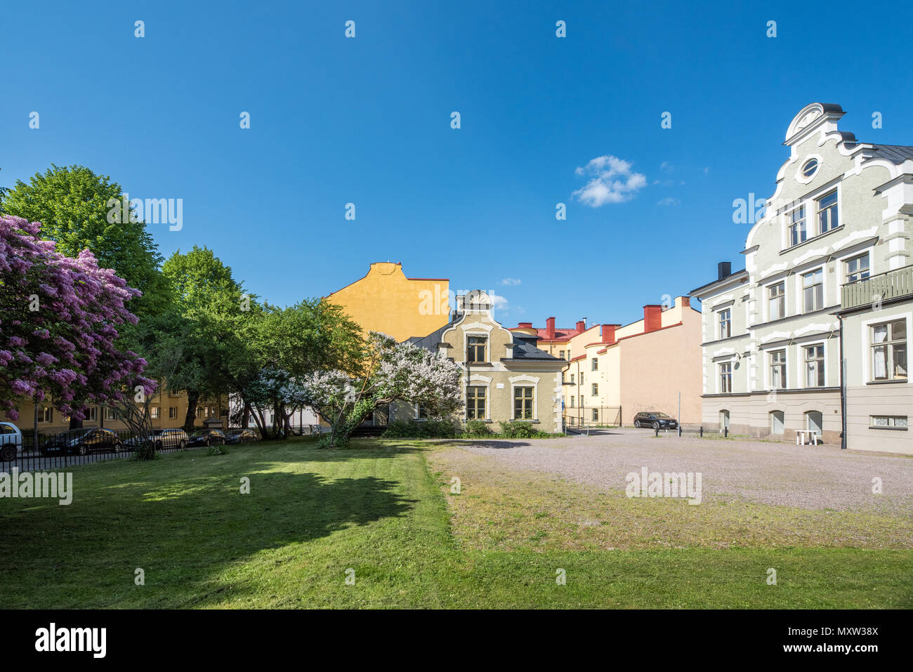 L'allegato e fiore lilla comune nel giardino della casa di Fröbel durante la tarda primavera a Norrköping, Svezia. Foto Stock