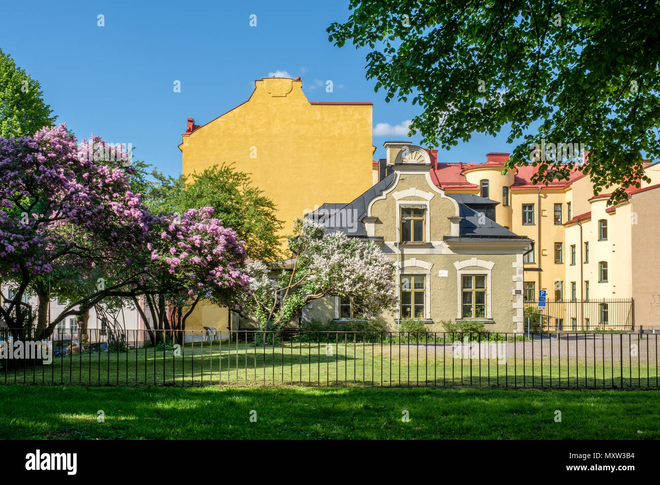 L'allegato e fiore lilla comune nel giardino della casa di Fröbel durante la tarda primavera a Norrköping, Svezia. Foto Stock