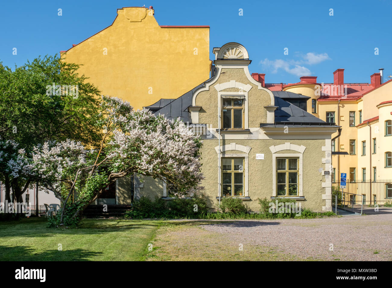 L'allegato e fiore lilla comune nel giardino della casa di Fröbel durante la tarda primavera a Norrköping, Svezia. Foto Stock