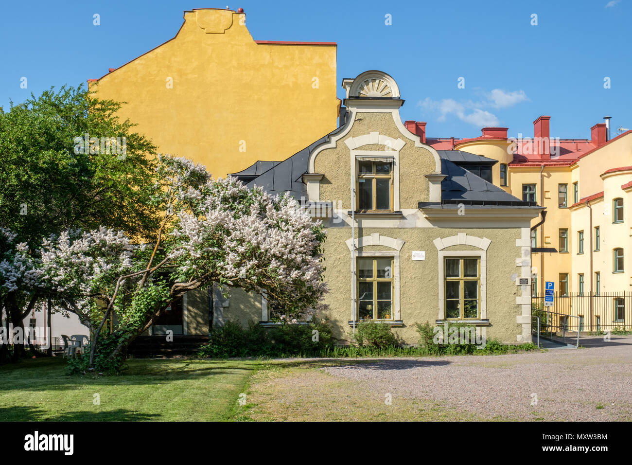 L'allegato e fiore lilla comune nel giardino della casa di Fröbel durante la tarda primavera a Norrköping, Svezia. Foto Stock