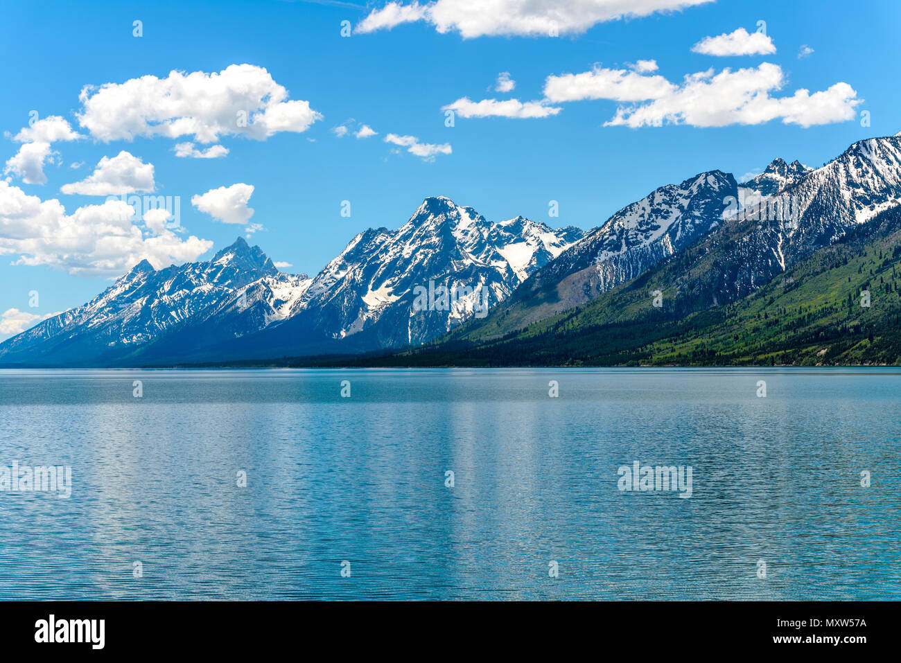 Teton gamma al lago Jackson - una molla in prospettiva di ancora coperte di neve Teton Range a riva del lago Jackson nel Parco Nazionale di Grand Teton, Wyoming negli Stati Uniti. Foto Stock