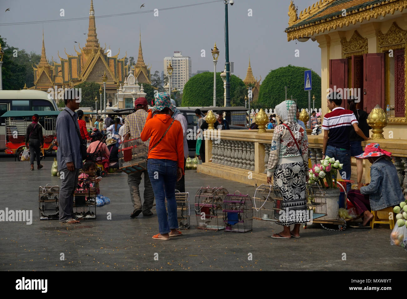 Uccelli catturati per rilasciare alla libertà, un rito buddista durante il Nuovo Anno Cinese, Phnom Penh Cambogia Foto Stock