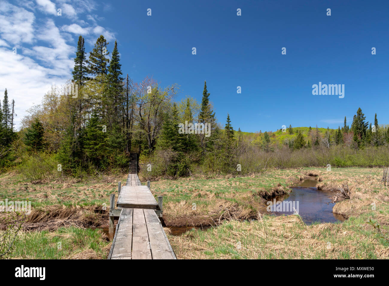 Ontonagon, Michigan - Beaver Creek Trail oltre il piccolo fiume di carpe in contrada deserto montagna parco dello stato. Foto Stock