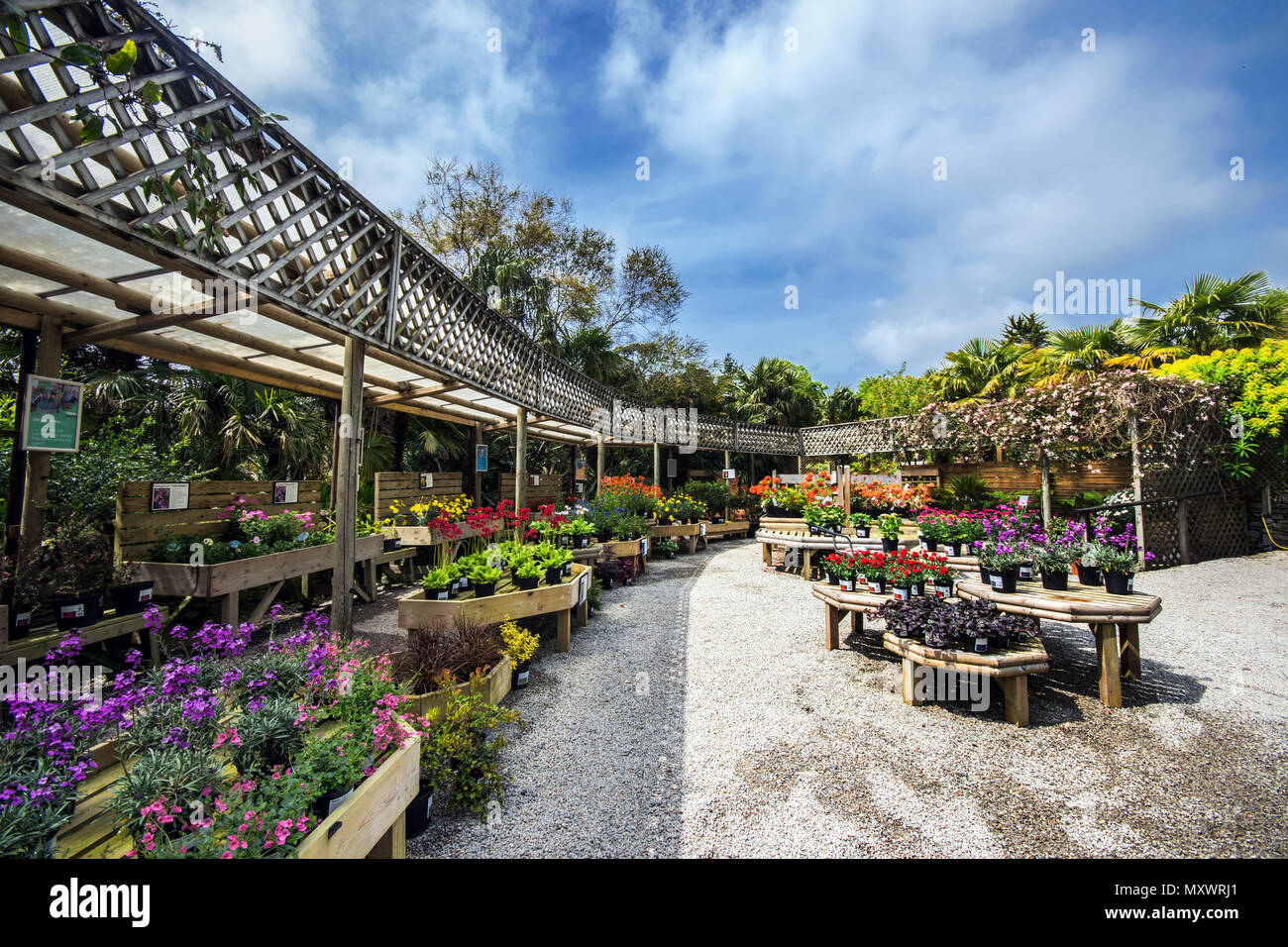 Un bellissimo giardino nel centro del Regno Unito. Foto Stock
