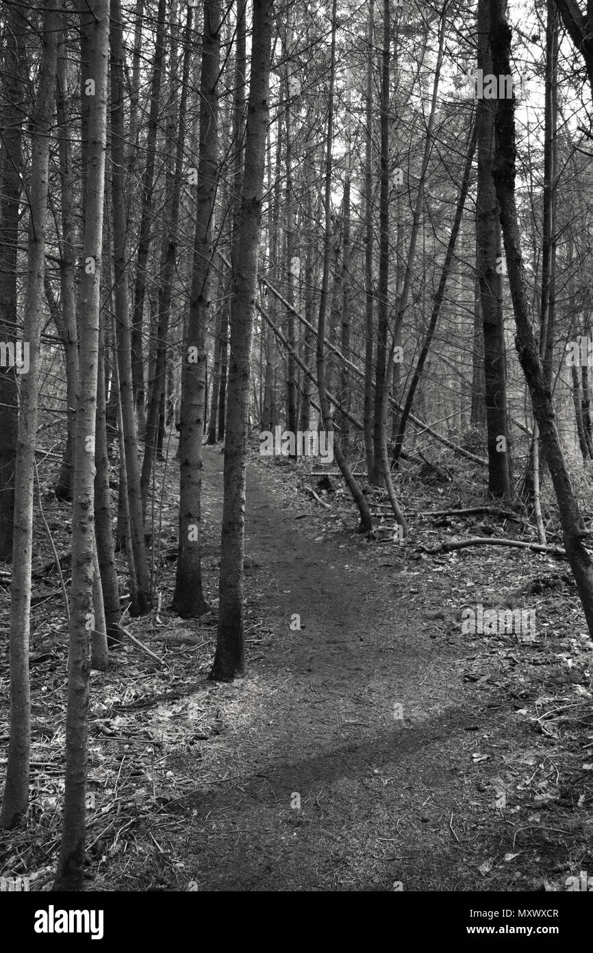 Sentieri escursionistici Foto Stock