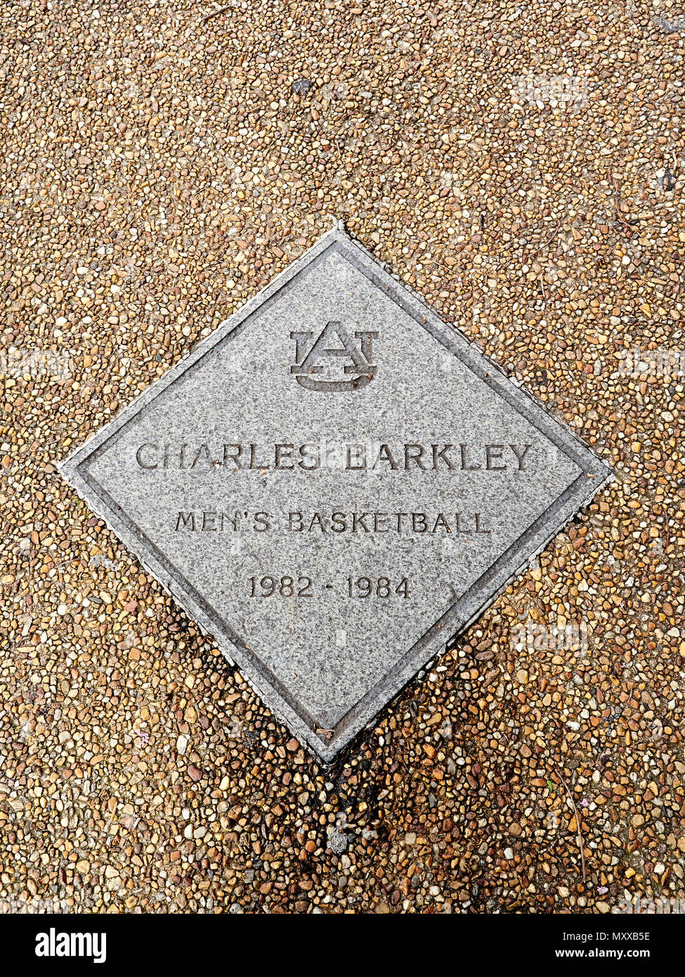 Charles Barkley monumento pubblico o una lapide commemorativa lungo il marciapiede della fama per la straordinaria Auburn University atleti in Auburn Alabama, Stati Uniti d'America. Foto Stock