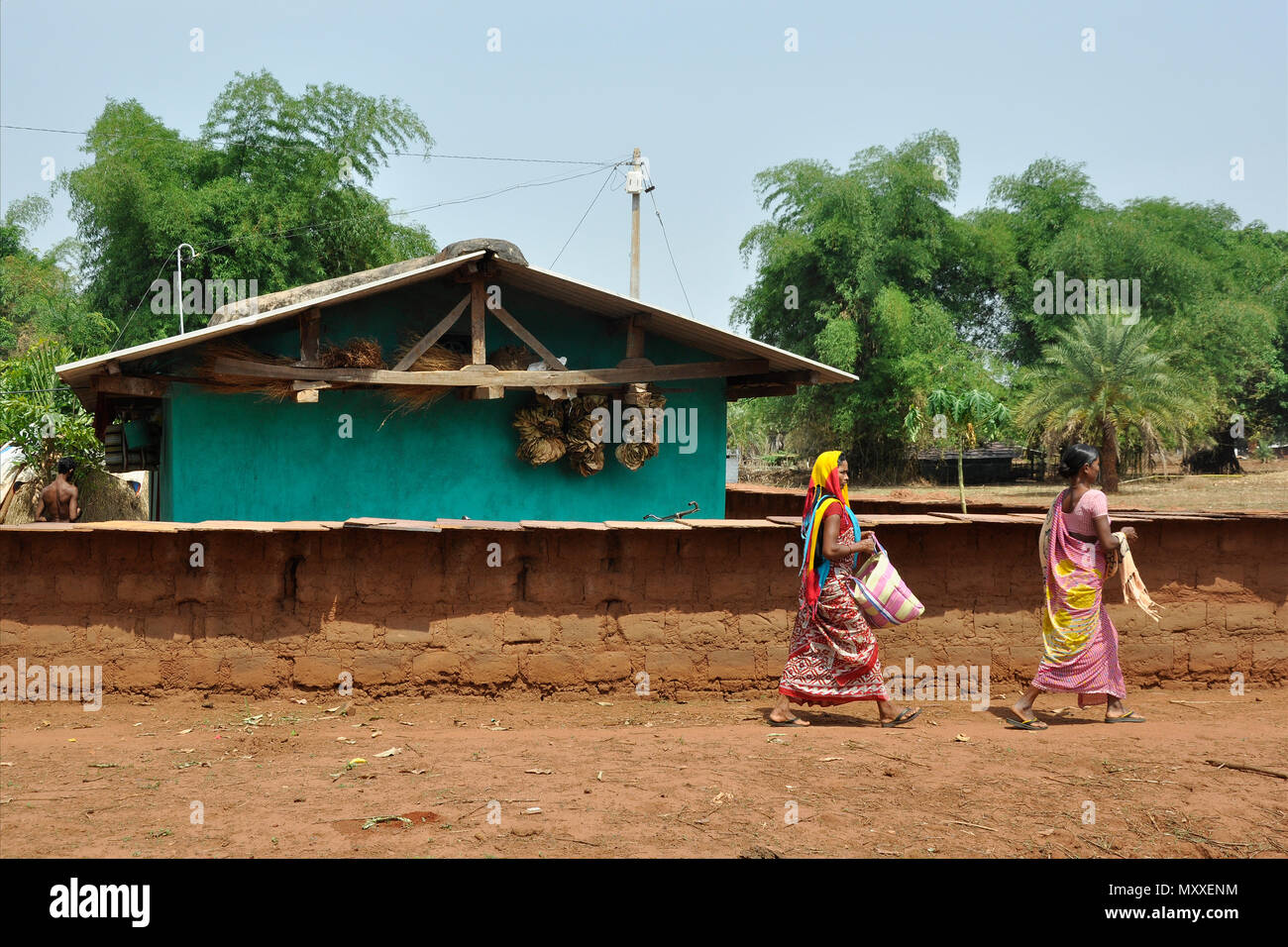 India Orissa, Chhattisgarh, area Muria, Bison tribù avvisatore acustico Foto Stock