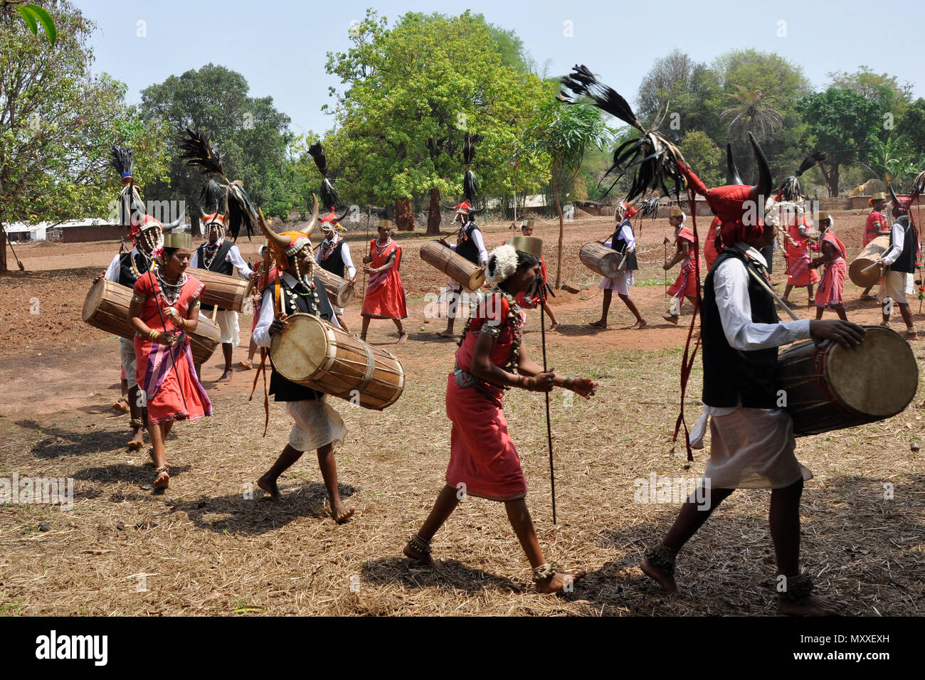 India Orissa, Chhattisgarh, area Muria, Bison tribù avvisatore acustico Foto Stock