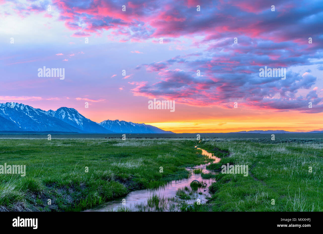 Tramonto prato di montagna - colorato tramonto primaverile in un verde campo di montagna con un avvolgimento del flusso in fila mormone in Grand Teton National Park, Stati Uniti d'America. Foto Stock