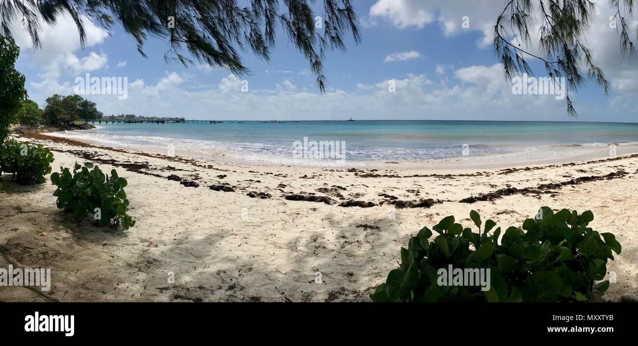 Idilliaco Welches bella spiaggia di Oistins sull'isola caraibica di Barbados con vegetazione lussureggiante, sabbia bianca, acque cristalline e un molo Foto Stock