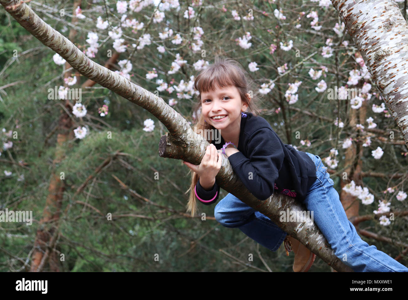 Bambina fino in un albero durante il tempo primaverile Foto Stock