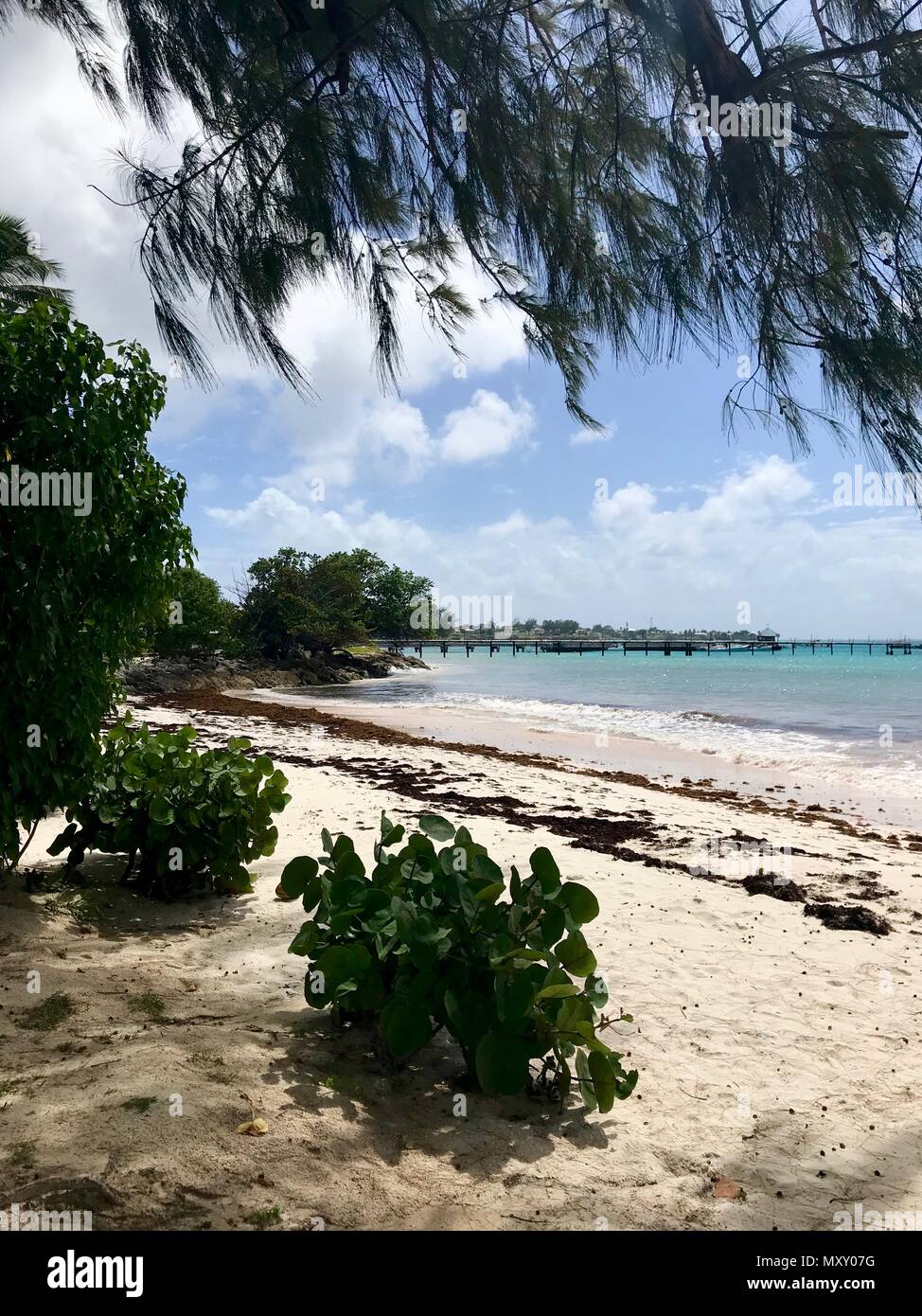 Idilliaco Welches bella spiaggia di Oistins sull'isola caraibica di Barbados con vegetazione lussureggiante, sabbia bianca, acque cristalline e un molo Foto Stock