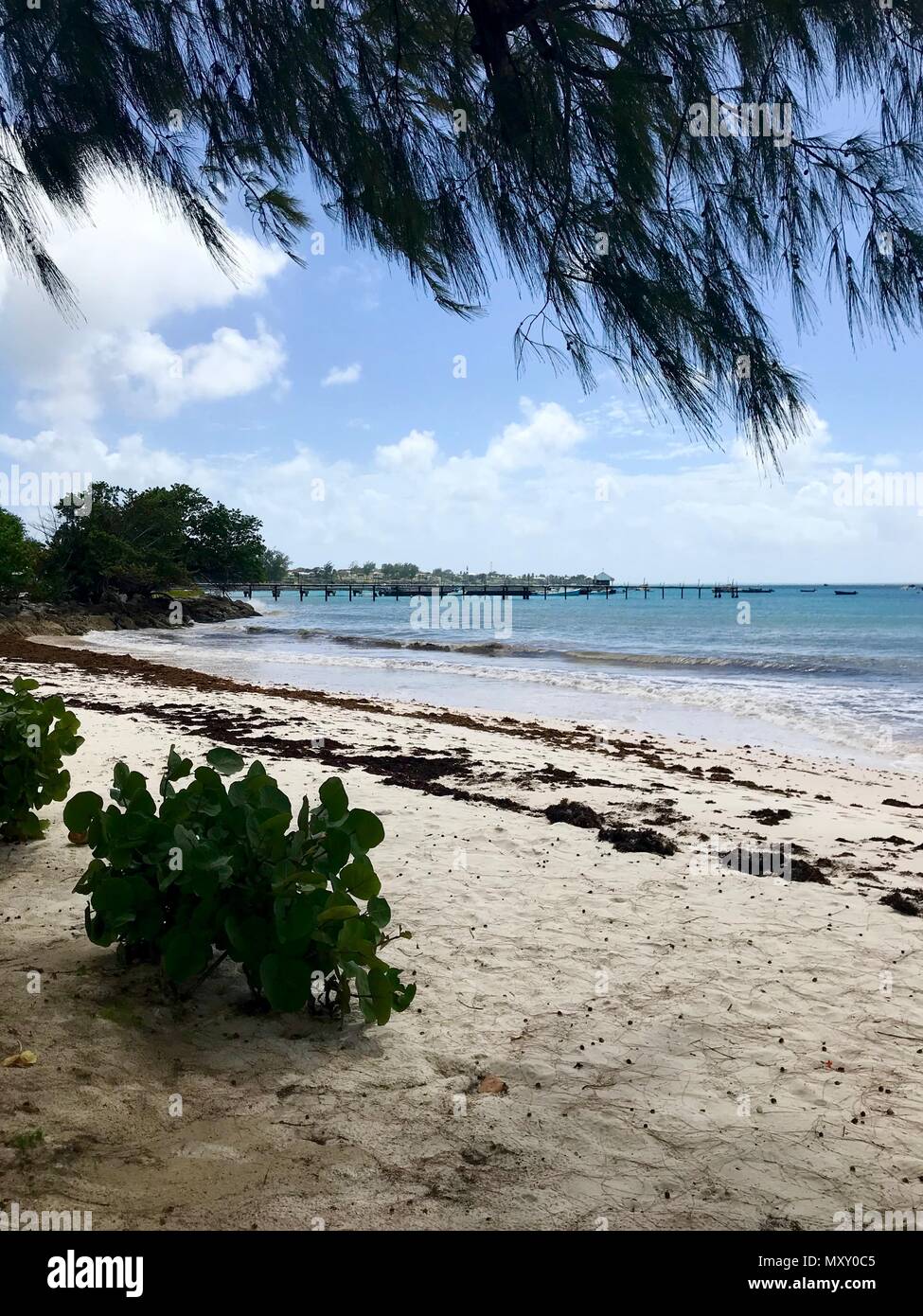Idilliaco Welches bella spiaggia di Oistins sull'isola caraibica di Barbados con vegetazione lussureggiante, sabbia bianca, acque cristalline e un molo Foto Stock