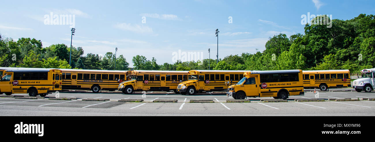 Le linee di autobus scolastico parcheggiato sul weekend di White Plains, NY Foto Stock