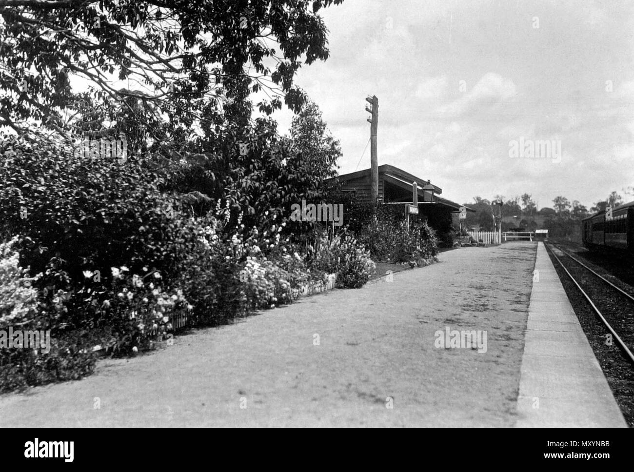 Narangba stazione ferroviaria, 1933. Giardini ferroviaria. Il concorso annuale condotto dal dipartimento ferroviario per la più bella stazione ferroviaria garden è stato vinto da Kuranda. I vincitori sono stati--campionato:. Stazione di Kuranda, £10. Divisione Sud: stazione di Holmes e Narangba, diviso £10; Stazione Helldon, £2; sei miglia 36 catene (North Coast Line), £2; 143 miglia 66 catene (North Coast Line), divisione centrale: Chalmers, £5; Colosseo, £2; Kittabut, £2: Biloela. £1. Divisione Nord: Deeral, £5; Malanda, £2; Tolga £1. Descrizione fonte: Queensland Times, 21 ottobre 1933 118523283 ) Foto Stock